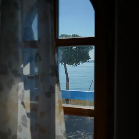 Angelina - Stone House * Kali